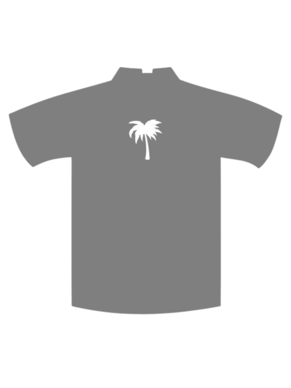 PALM TREE - Image 3